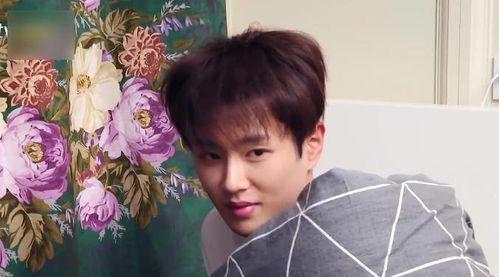 娱乐圈吃瓜爆料范丞丞,揭秘明星背后的故事