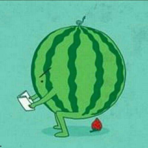 娱乐吃瓜酱的贴纸是什么,一场视觉盛宴的狂欢